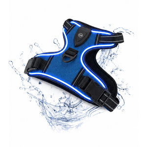 Harnais lumineux Bleu