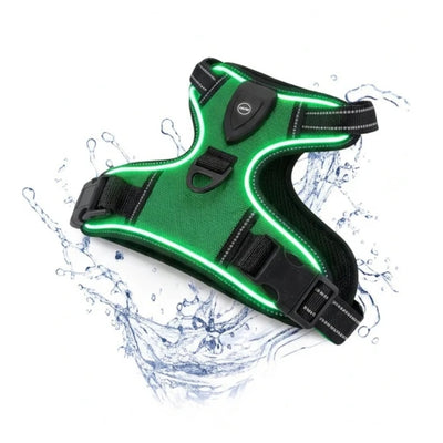 Harnais lumineux Vert
